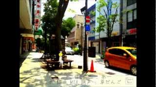 Shizuka na Natsu no Semishigure