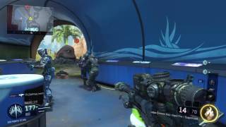 QUAD FEED