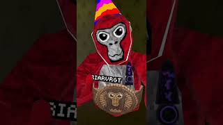 Gorilla tag if I meet you in a lobby I will edit u btw #gorillatag