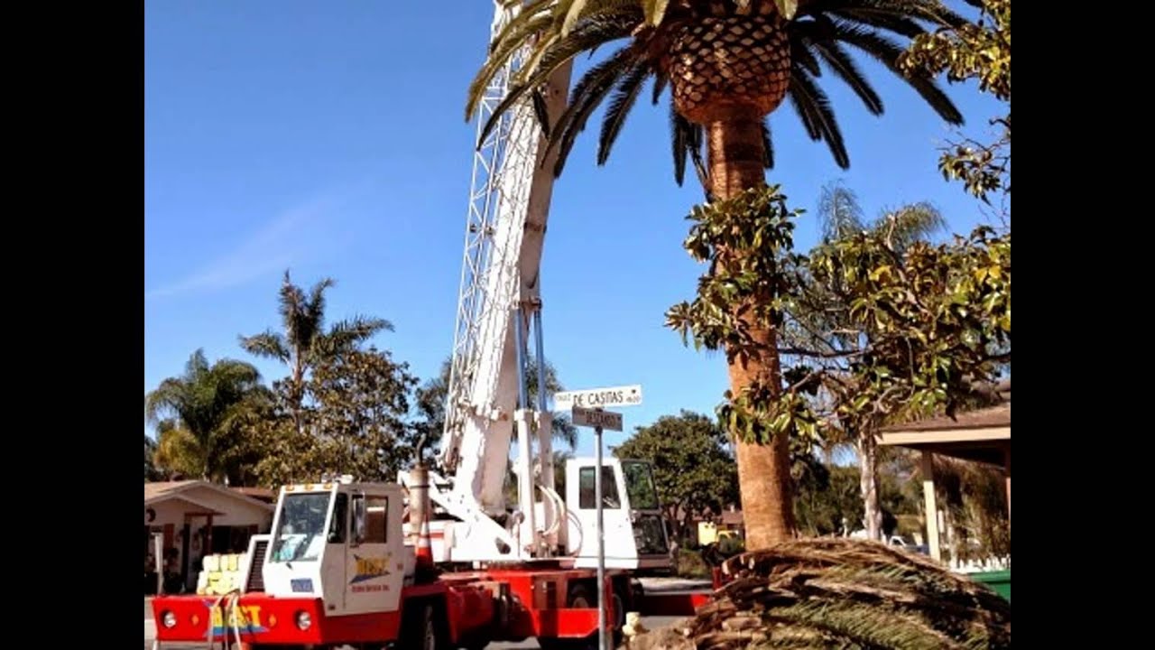 Best Crane Service Inc is a Crane Service Company near San Diego,CA