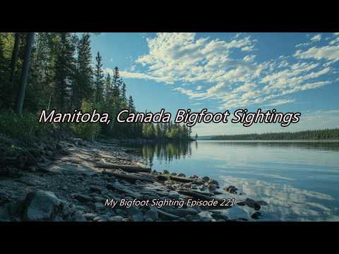 Manitoba, Canada Bigfoot Sightings - My Bigfoot Sighting Episode 221