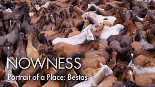 Portrait of a Place: Bestas