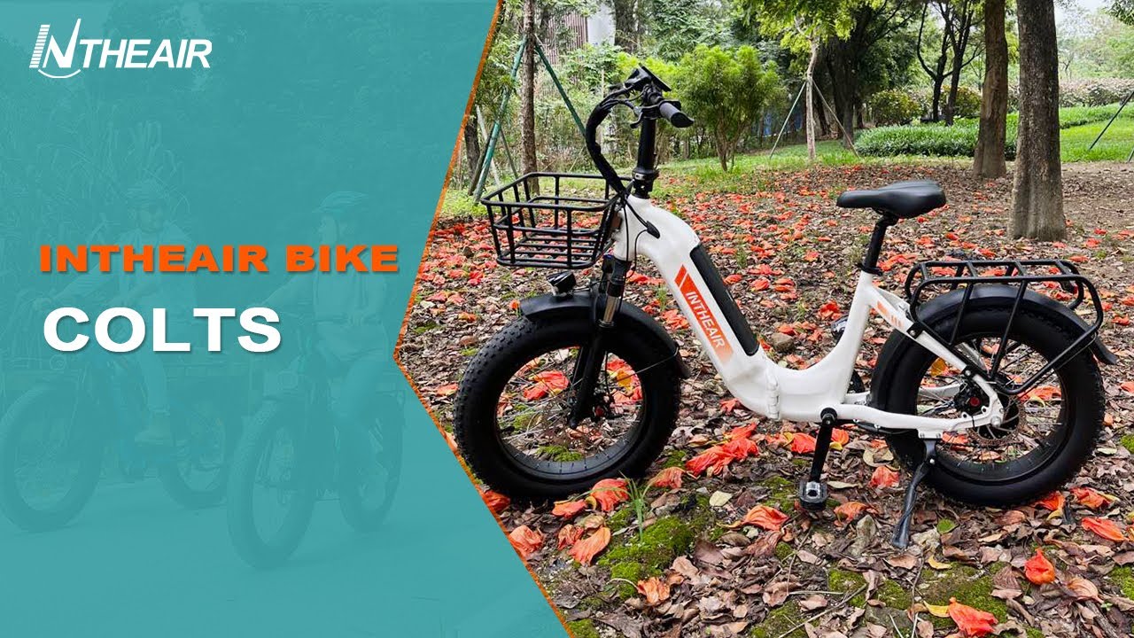 INTHEAIR Colts Folding Electric 750W Bike Show Details