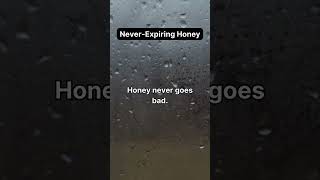 Honey: The Sweet Treat That Never Expires Honey The Sweet Treat That Never Spoils