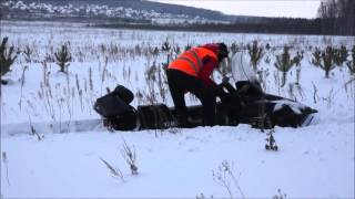 Прогулка на снегоходах. Видео: Наталья УМНОВА.(, 2016-02-08T11:08:32.000Z)