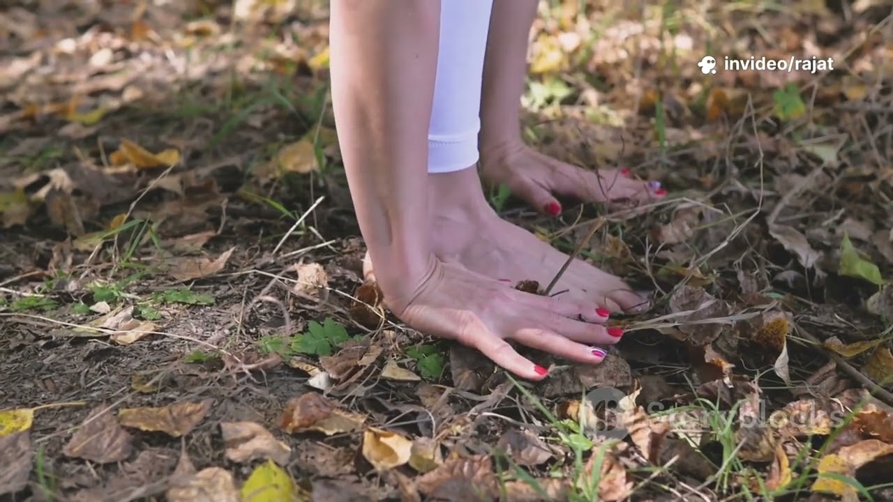 Bird in hand, worth two in the Bush || Motivational story