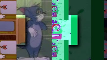 25 Shuric Scans with are slides