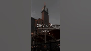 سورة / الفرقان  مع القارئ|وحيد