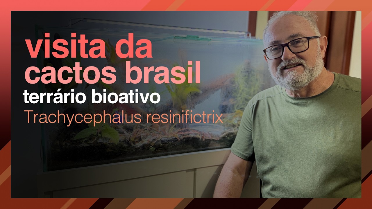 Visita do Sérgio e Clayton: Plantas da Cactos Brasil no Meu Terrário Bioativo [em breve Milk Frog]