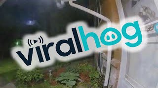 Doorbell Camera Catches Meteor Lighting up the Night Sky || ViralHog