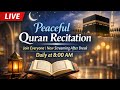 🔴LIVE Quran Recitation Para 21 | Peaceful Tilawat | Listen & Feel Peace
