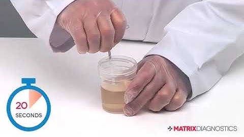 Matrix Diagnostics - How to Use Your Matrix Single Drug Dip Test