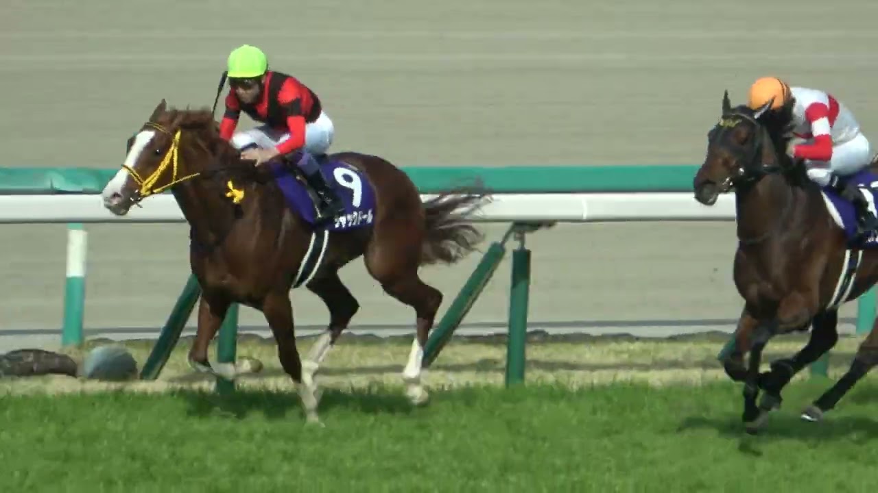 【大阪杯2023】武豊騎乗 ジャックドールが勝利 ウィニングラン 現地映像