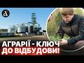 "Я БЕЗ СЕЛА ЖИТИ НЕ МОЖУ!" Місцеві фермери відродили рідне село та побудували всю інфраструктуру