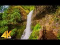 8 hours forest walk along the trail of ten falls  waterfalls of silver falls state park in 4k u.