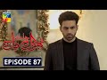 Bhool Jaa Ay Dil Episode 87 HUM TV Drama 16 March 2021