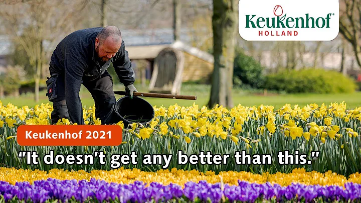 Gardener Patrick: ''It doesnt get any better than ...