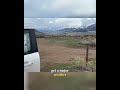 Elk Everywhere! Heading to Yellowstone Before the Snowstorm! #shorts