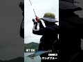 エギング #fishing