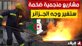 مشاريع عملاقة تطلقها الجزائر في قطاع المناجم..ومداخيل بمليارات الدولارات ستغير وجه الاقتصاد الجزائري