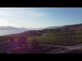 Smooth Glide Over Okanagan: Summer Vibes at Abandoned Rail Brewing