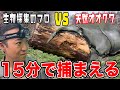 【オオクワガタ採集②】大阪で冬に最速で天然オオクワガタを採集するプロ生物ハンター
