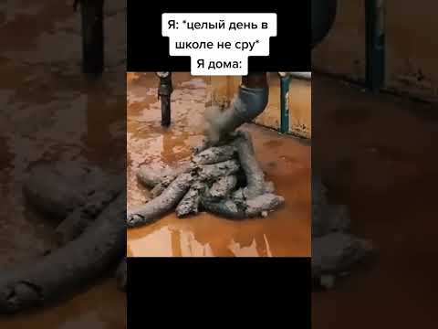 Я хочу какать мем Tiktok Tiktokvideo рекомендации рек