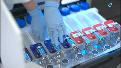 Sophion Qube 384 dynamic automated patch clamp