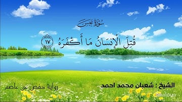 سورة عبس :الشيخ شعبان محمد احمد