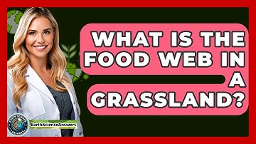 What Is The Food Web In A Grassland? - Earth Science Answers