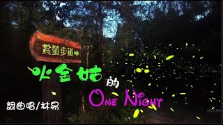 全台螢火蟲密度最高，螢火蟲在你帳位陪你露營\/《火金姑的One Night》\/依星生態農場