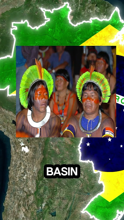 DNA of Average Brazilian