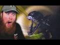 The Craziest Backrooms Video I Ve EVER Watched Backrooms Stalker 