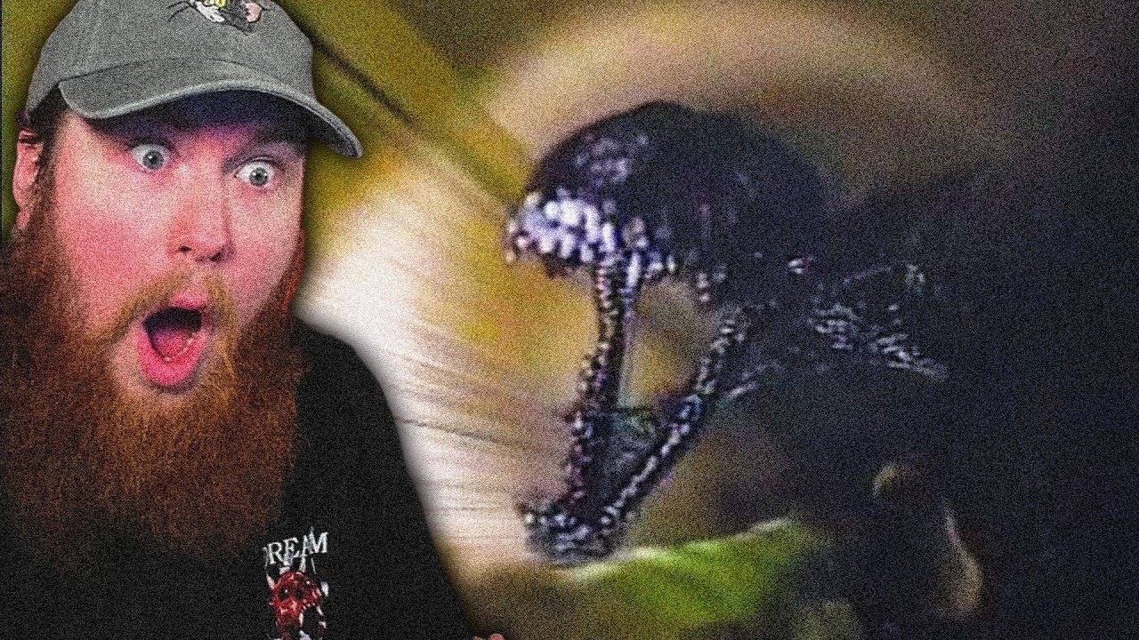 The Craziest Backrooms Video I've EVER Watched | Backrooms: Stalker