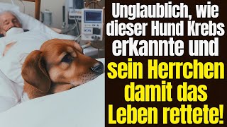 Unglaublich, wie dieser Hund Krebs erkannte und ein Herrchen damit das Leben rettete!