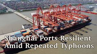 Shanghai ports work resiliently to handle vessels and TEUs amid repeated typhoons