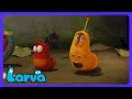Larva - ¡Corran al baño! | Dibujos Infantiles | WildBrain Niños