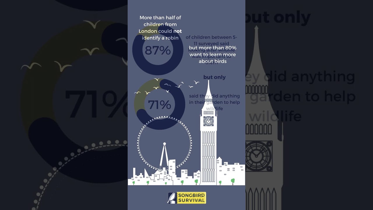 UK Children want to do more to help birds and wildlife, but a quarter cannot identify a robin