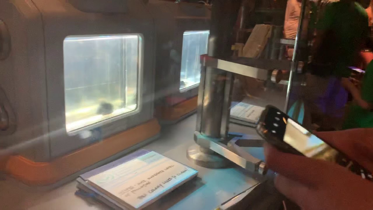 Disney: Animal Kingdom _ Avatar Laboratory’s 👨🏽‍🔬🔬😎 - YouTube
