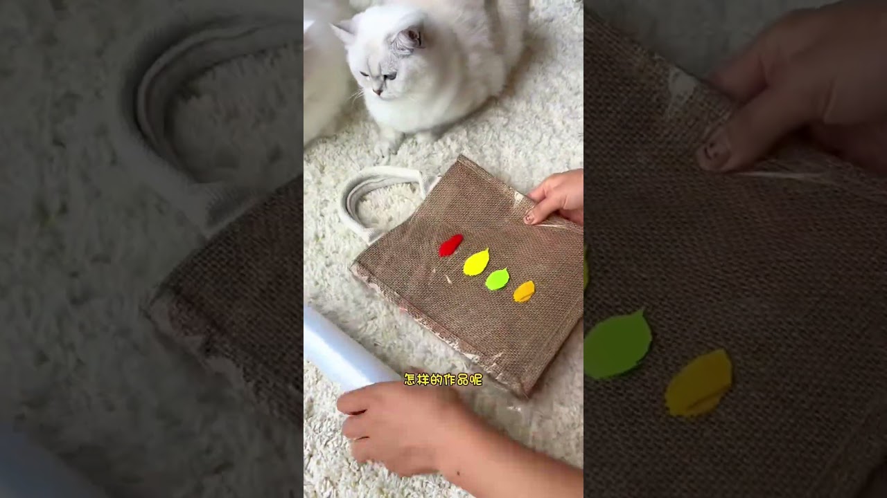 CoCo vs. XiaoXimi: Burlap Bag Makeover Challenge! Who Wins? 