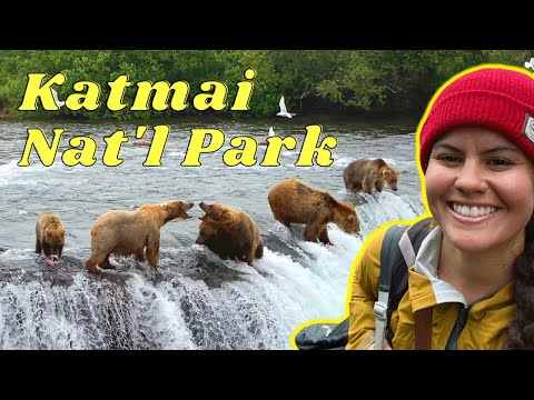 Visit Brooks Falls Katmai National Park | Alaska Brown Bear Viewing