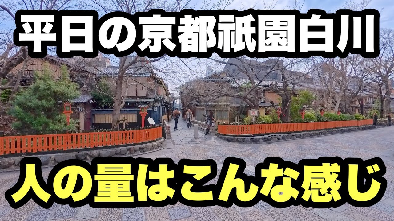 【4K】2026年2月20日（金）平日の京都祇園白川、観光客の人出はこんな感じ｜京都市内をゆるく散策