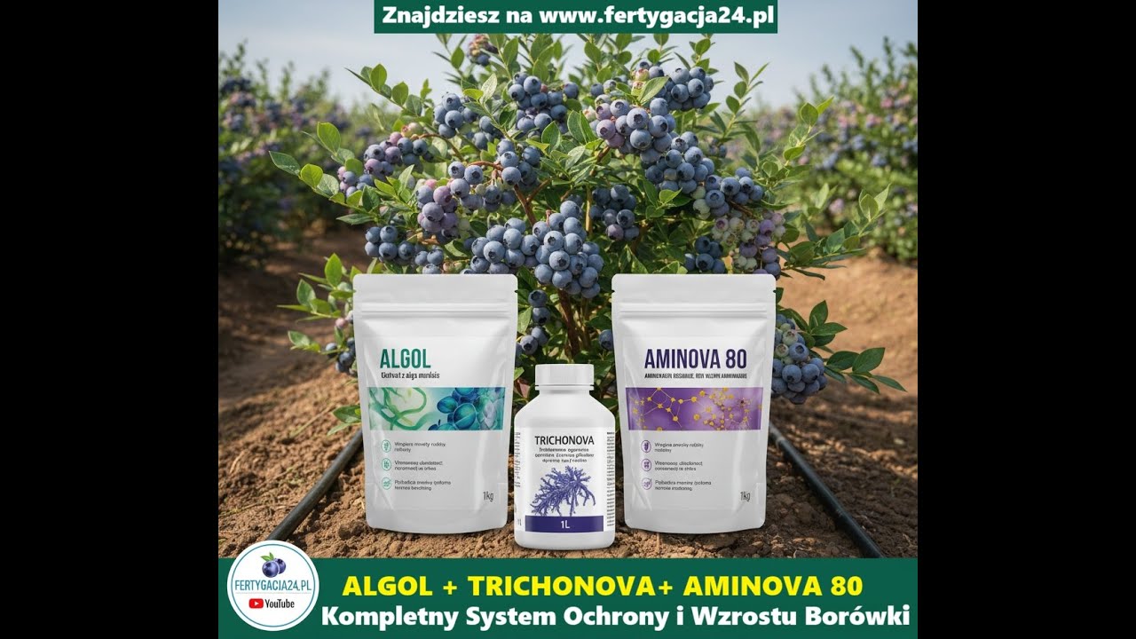 Czym Będę Nawoził Borówki w Sezonie 2026 Już Dostępne Prodkty do Lektury na Fertygacja24 ZAPRASZAM !