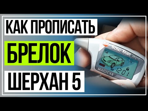 Как Прописать Брелок Шерхан 5. Брелок Scher-Khan Magicar 5 программирование.