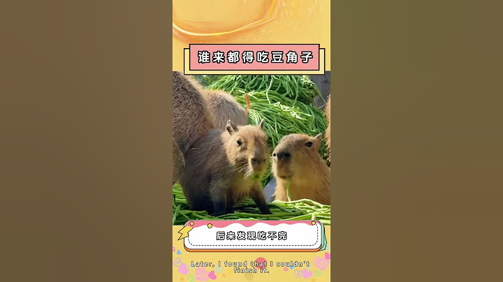 在山河四省，连卡皮巴拉都逃不过顿顿豆角子的命