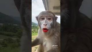 Karena takdir itu nyata🥰😁 #comedy #funnyshorts #everyone #highlights