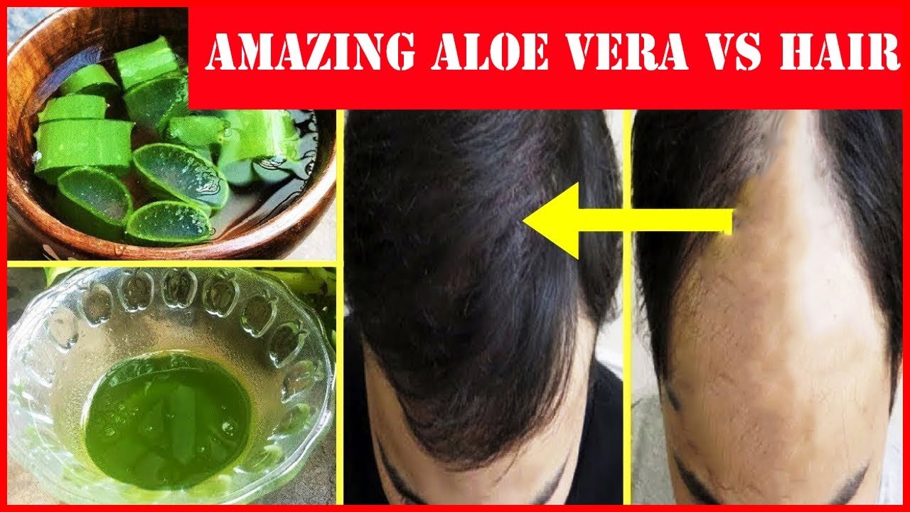 aloe vera for hair reviews Perfect Beauty - Aloe Vera Hair Oil for Double Hair Growth - Aloe Vera Gel to get Long hair