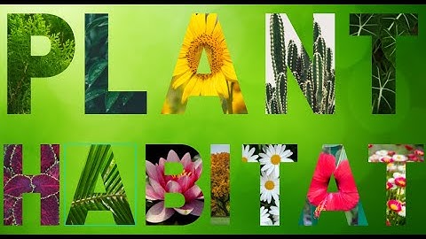 Plant Habitat||Science Lesson