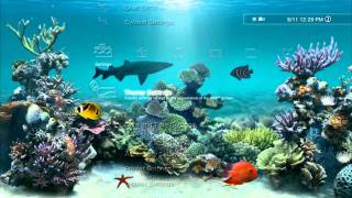 Aquarium Dynamic PS3 Theme
