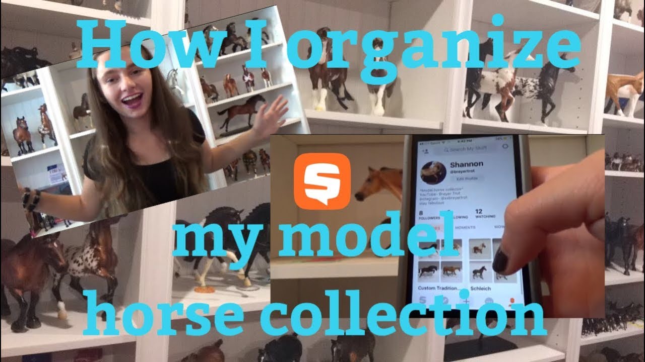 How I organize my model horse collectionBreyer Trot YouTube